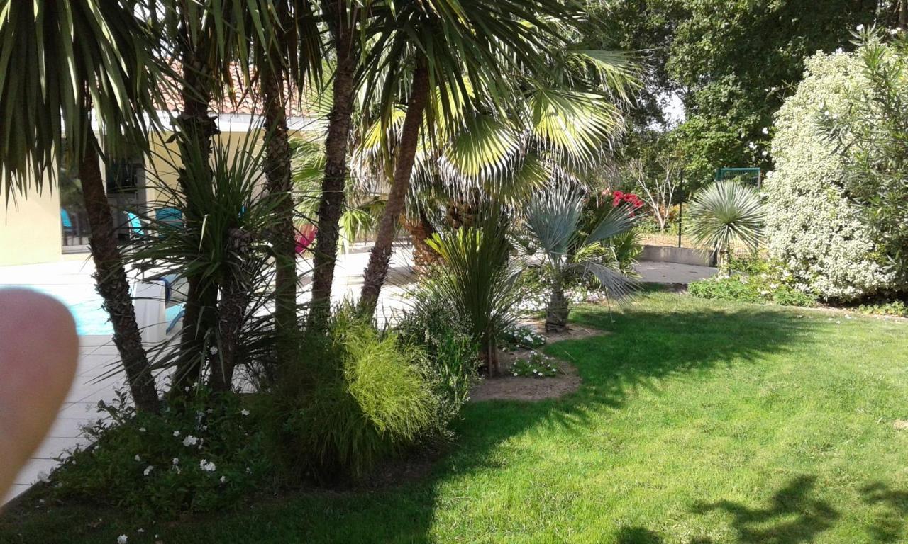 Gite T2 Tarnos Avec Piscine Exteriör bild